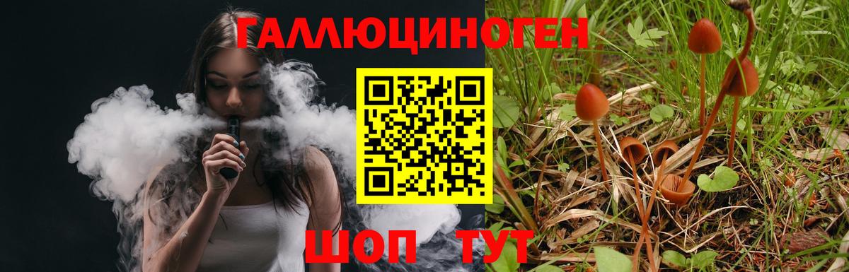 Псилоцибиновые грибы ЛСД  Вход с VPN  Славгород  Псилоцибиновые грибы Cubensis 
